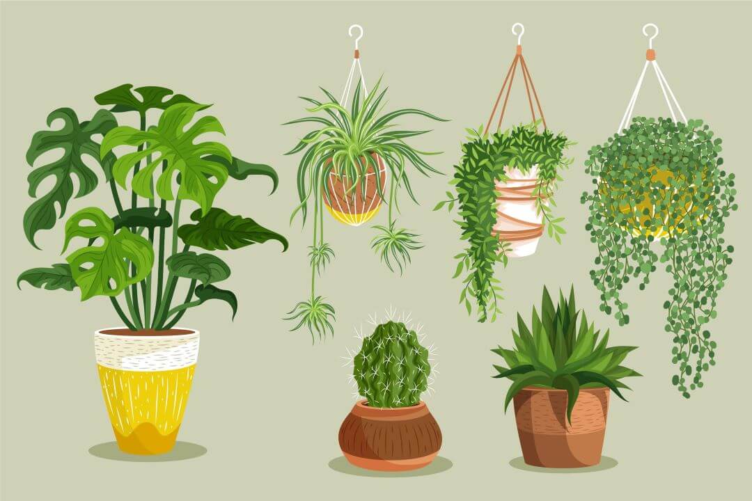 Creative Ways to Incorporate Plants into Your Home Decor