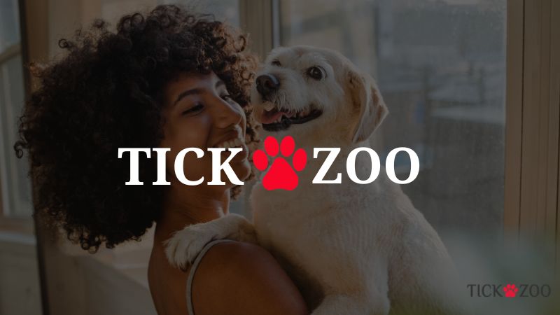Tickzoo.com: A Comprehensive Guide to Understanding the Platform