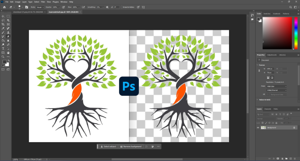 How to Remove White Background from Image Photoshop Easily for Free
